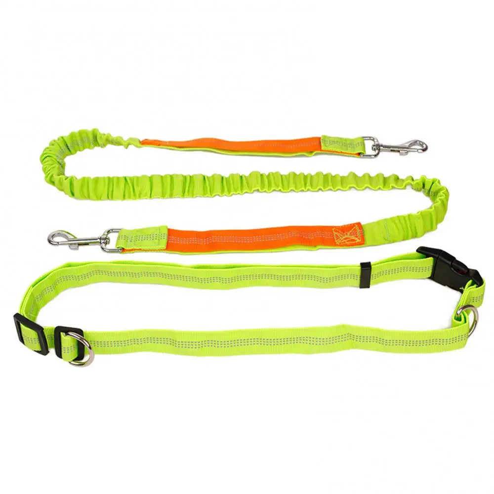 Leash Hands Free with Adjustable Hip Belt