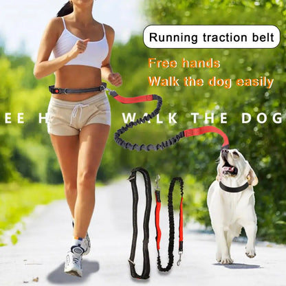 Leash Hands Free with Adjustable Hip Belt