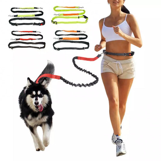 Leash Hands Free with Adjustable Hip Belt