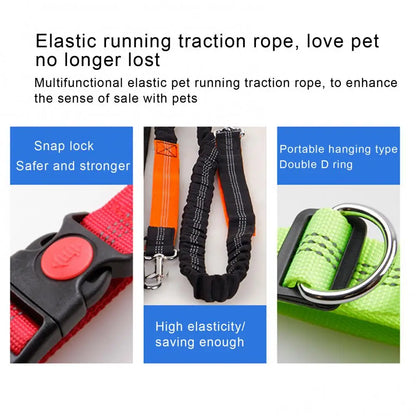 Leash Hands Free with Adjustable Hip Belt