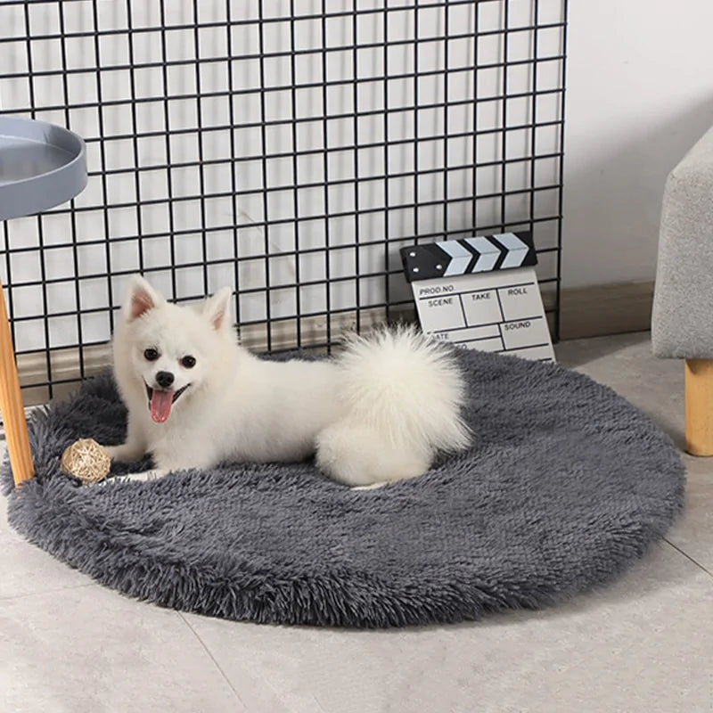 Round Dog Blanket