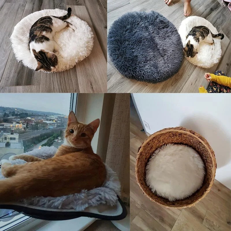 Round Dog Blanket