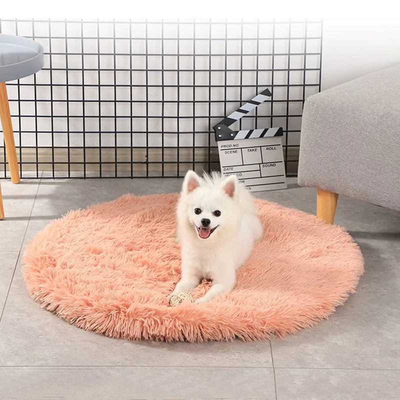 Round Dog Blanket